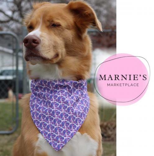 Marnie’s Marketplace